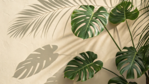 Planta Costela-de-Adão recebendo luz indireta em uma parede clara.