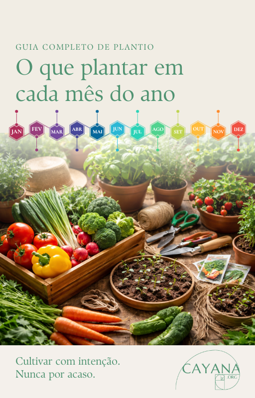 Guia visual de plantio com hortaliças, ervas e legumes organizados por mês do ano para cultivo doméstico ao longo das estações