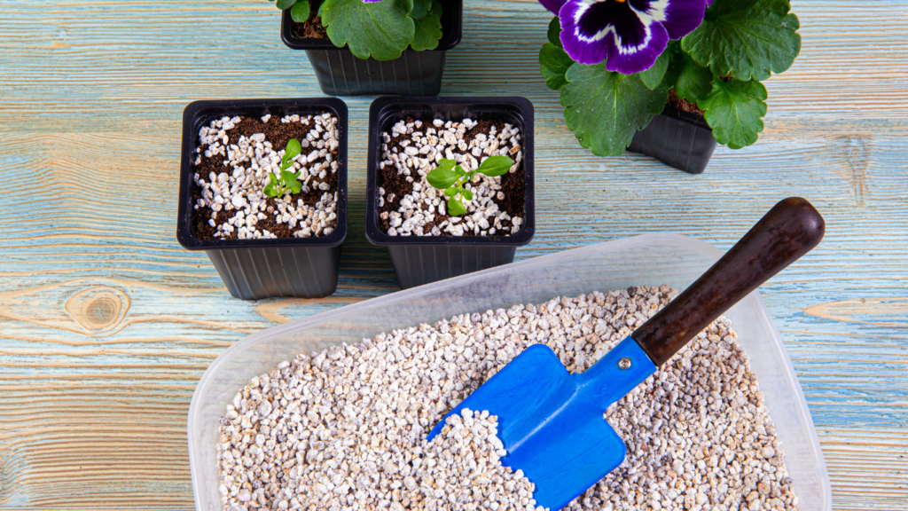 Pazinha de mão azul com cabo de madeira pegando perlita branca para preparação de substrato em vasos de mudas sobre mesa de madeira rústica.