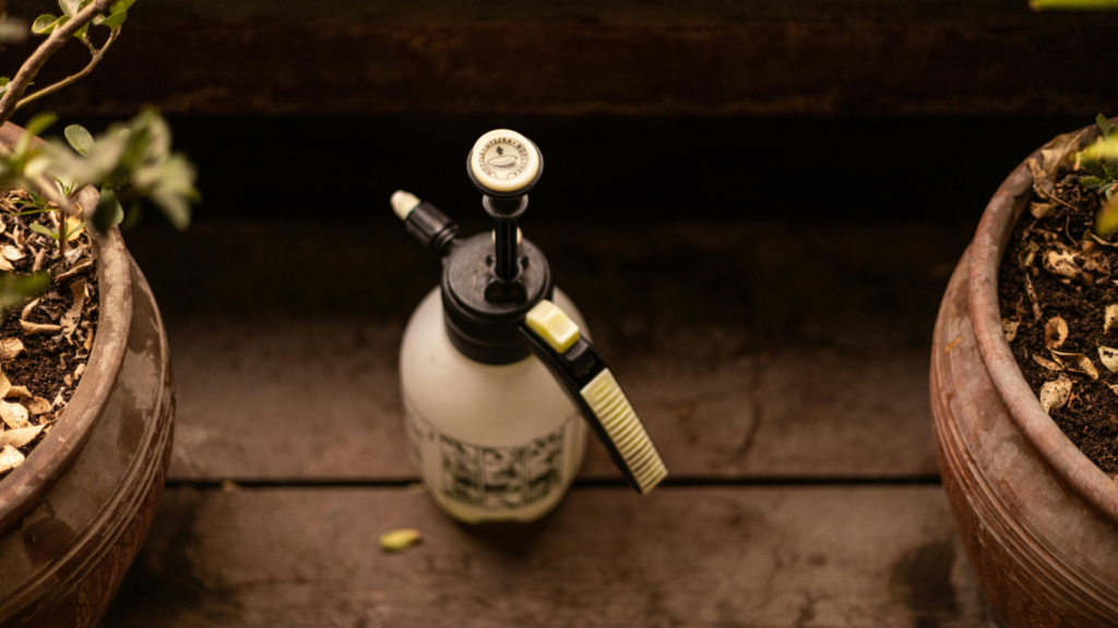 Pulverizador de compressão prévia branco e preto posicionado entre dois vasos de barro em prateleira de madeira escura.