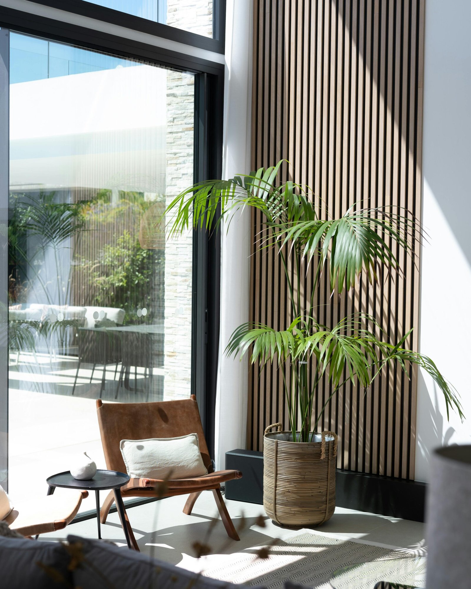 Palmeira-areca em vaso dentro de sala de estar moderna com luz natural — palmeiras para varanda e jardim