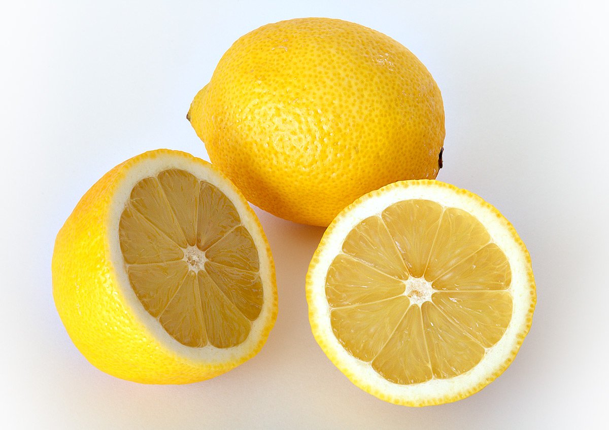 Limoeiro (Citrus limon) com frutos, árvore frutífera de pequeno porte para paisagismo