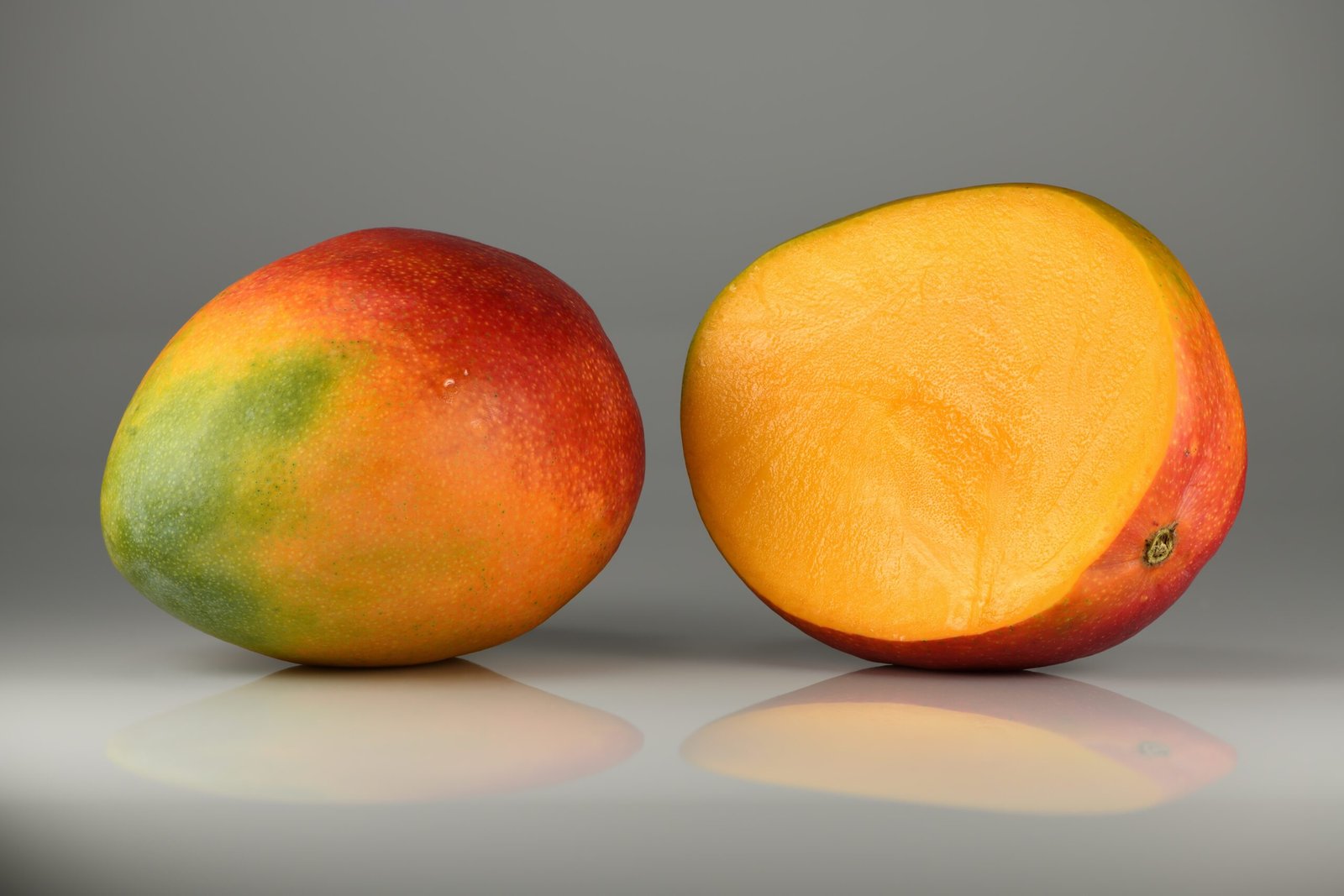 Mangueira (Mangifera indica) com frutos, árvore frutífera de grande porte para paisagismo