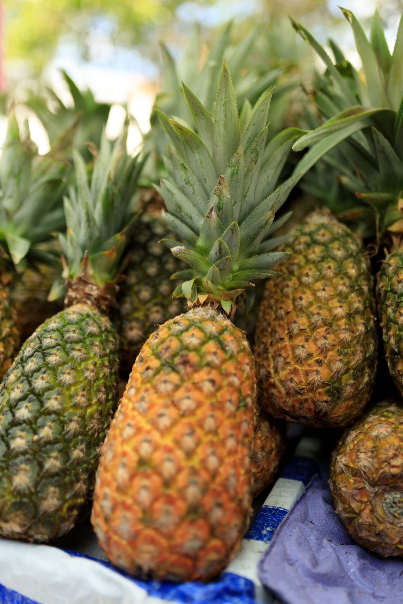 Frutas maduras expostas numa feira ao ar livre