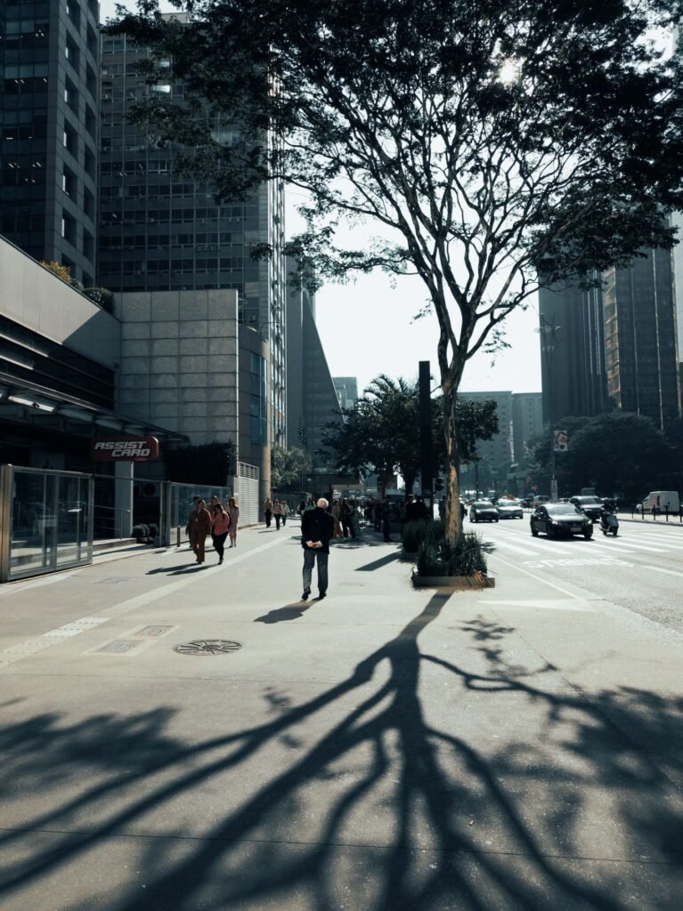 Árvore de copa ampla em calçada larga de São Paulo, projetando sombra sobre pedestres entre prédios altos