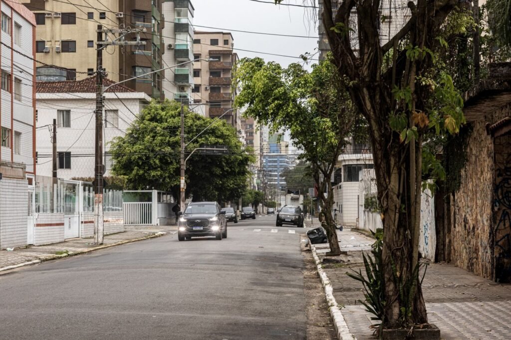 Rua residencial de Praia Grande (SP) com árvores de pequeno e médio porte plantadas na calçada, ao lado de postes e fiação elétrica