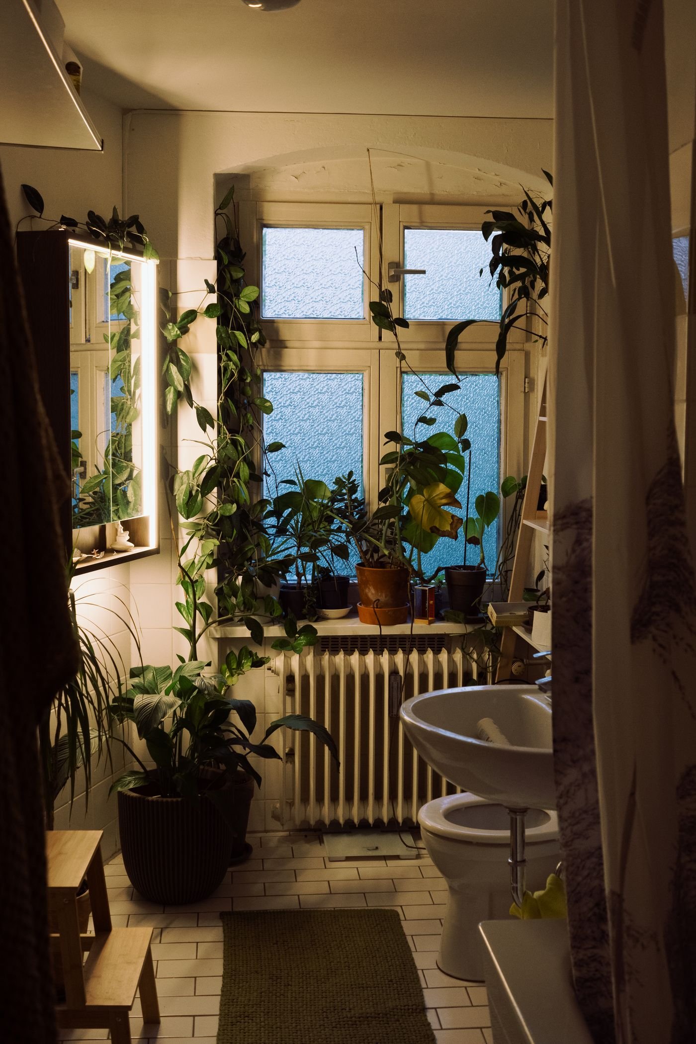 Banheiro aconchegante cheio de plantas e luz natural vinda da janela