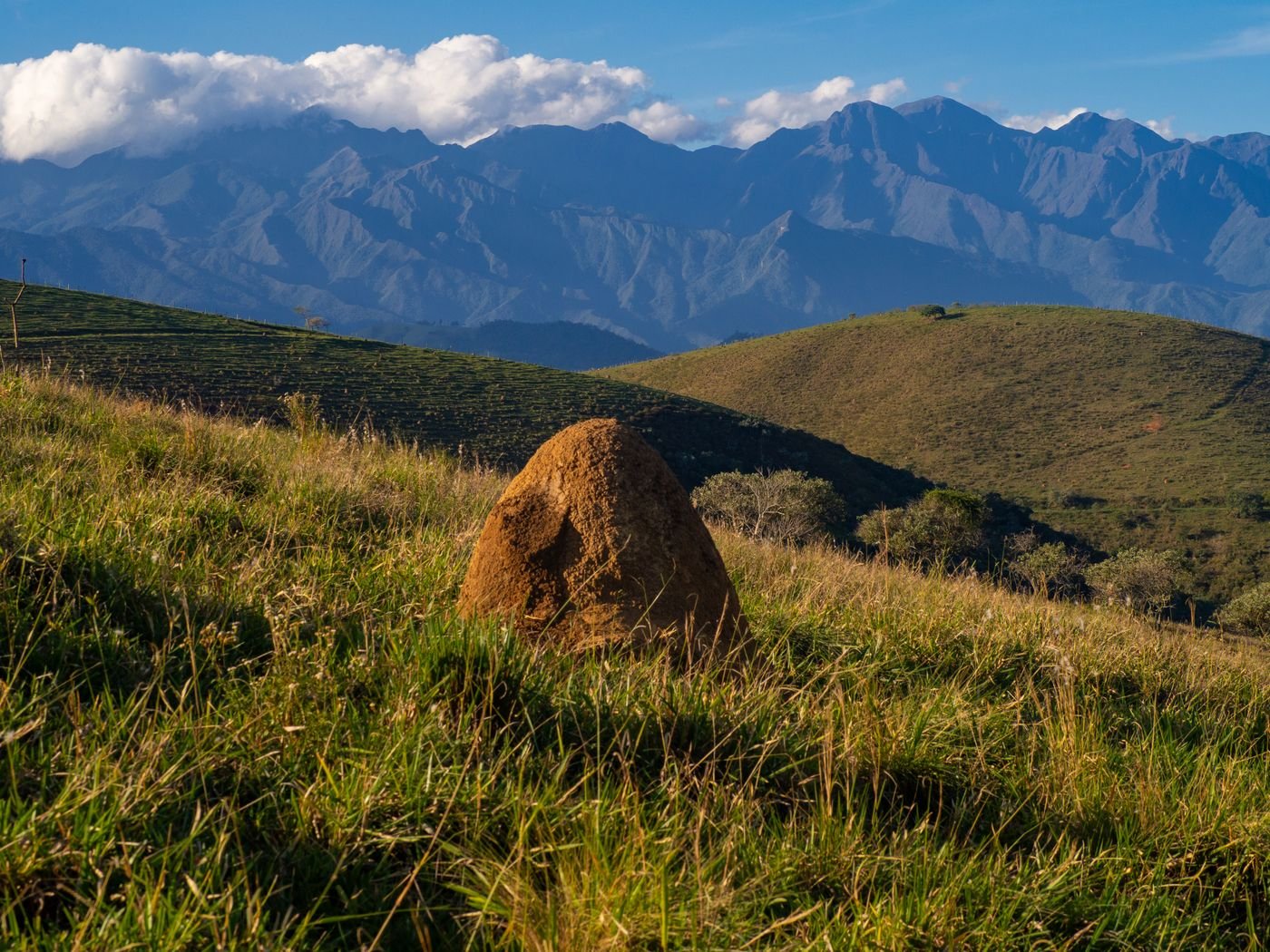 Cupinzeiro de terra endurecida no meio de uma pastagem com montanhas ao fundo