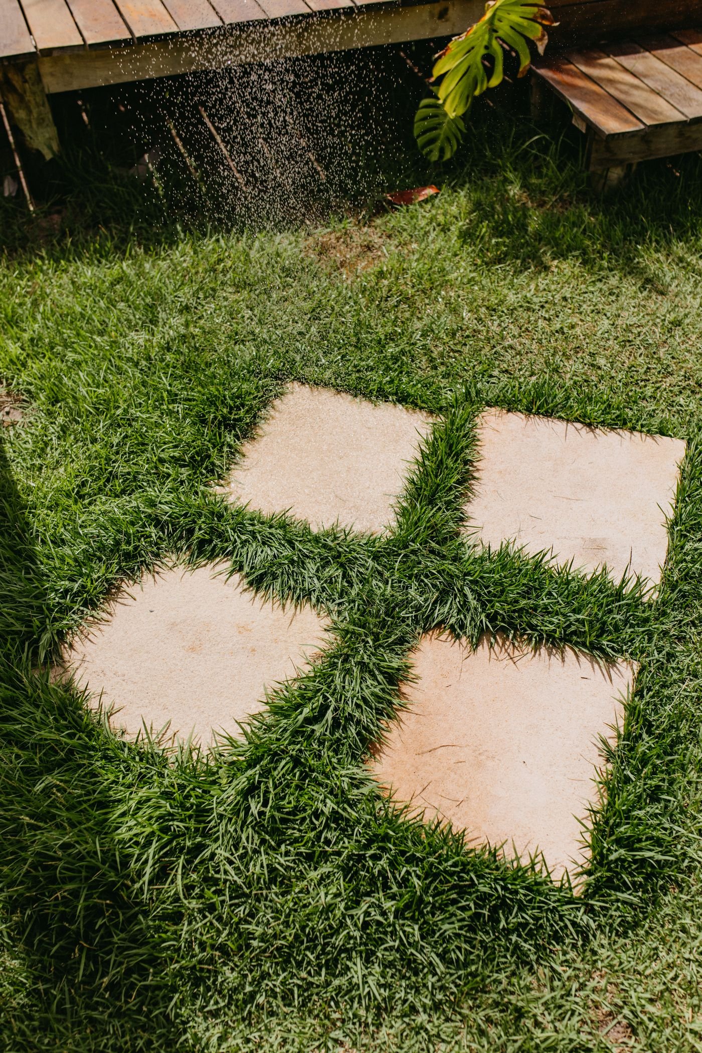 Gramado com pisantes de pedra em um jardim residencial