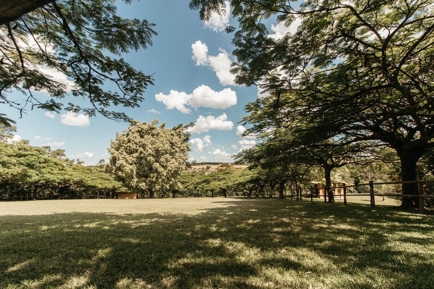 Gramado sob a sombra de árvores grandes em uma área rural de Campinas