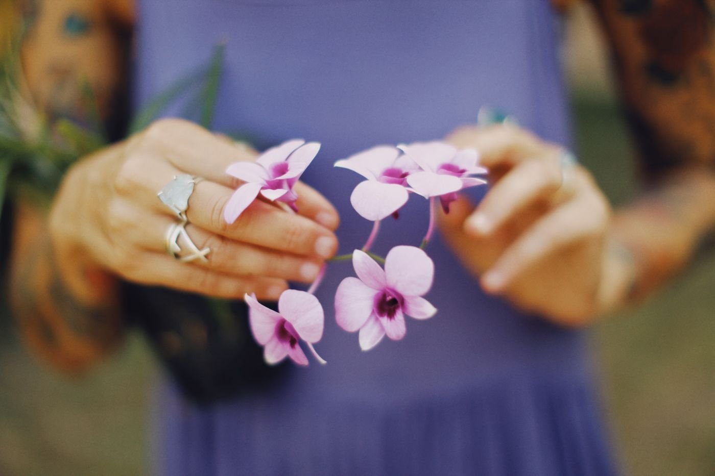 Mãos segurando delicadas flores roxas