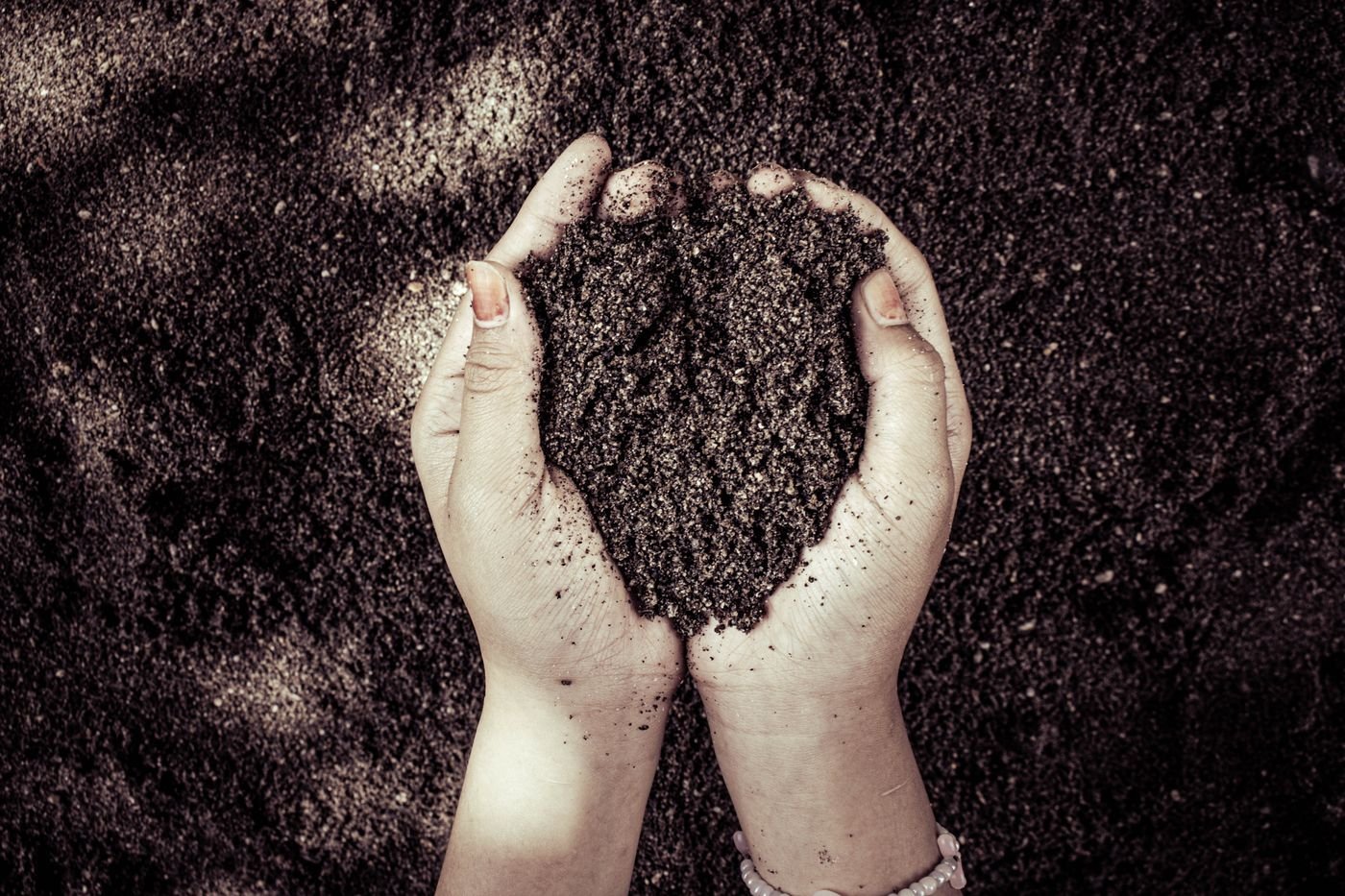 Duas mãos segurando terra escura e solta