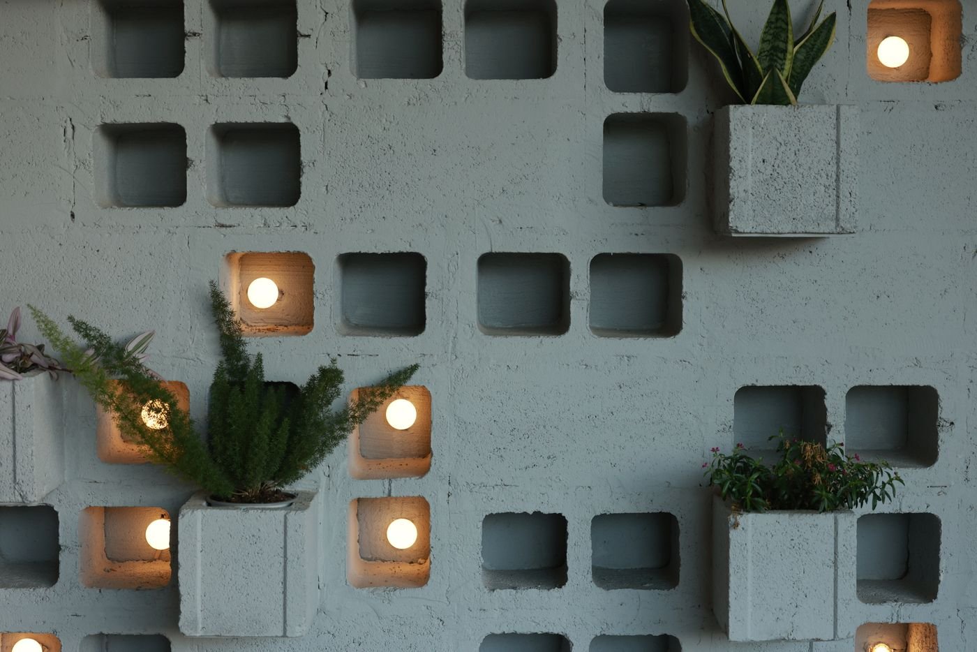 Parede de concreto com nichos iluminados e plantas