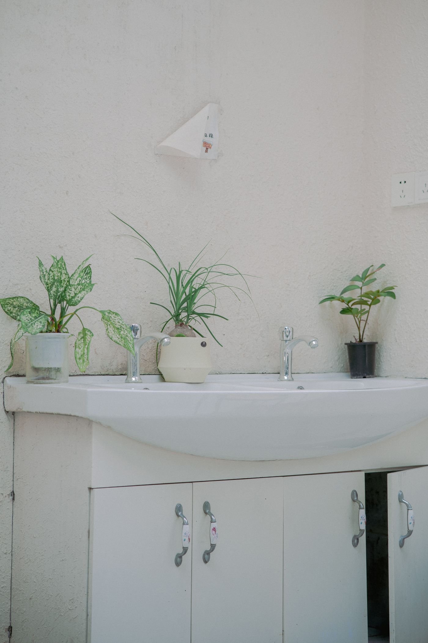 Pia minimalista decorada com pequenos vasos de plantas