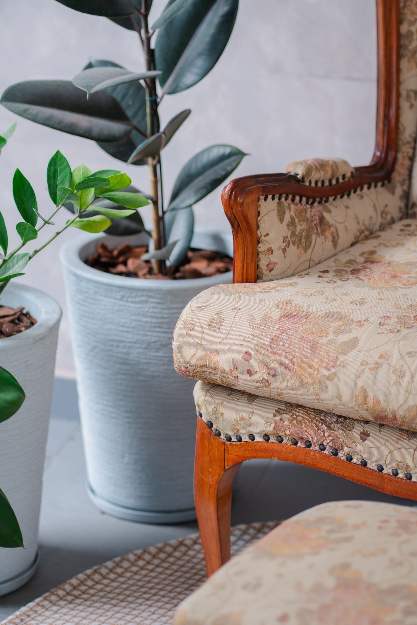 Poltrona vintage ao lado de vasos de plantas num ambiente elegante