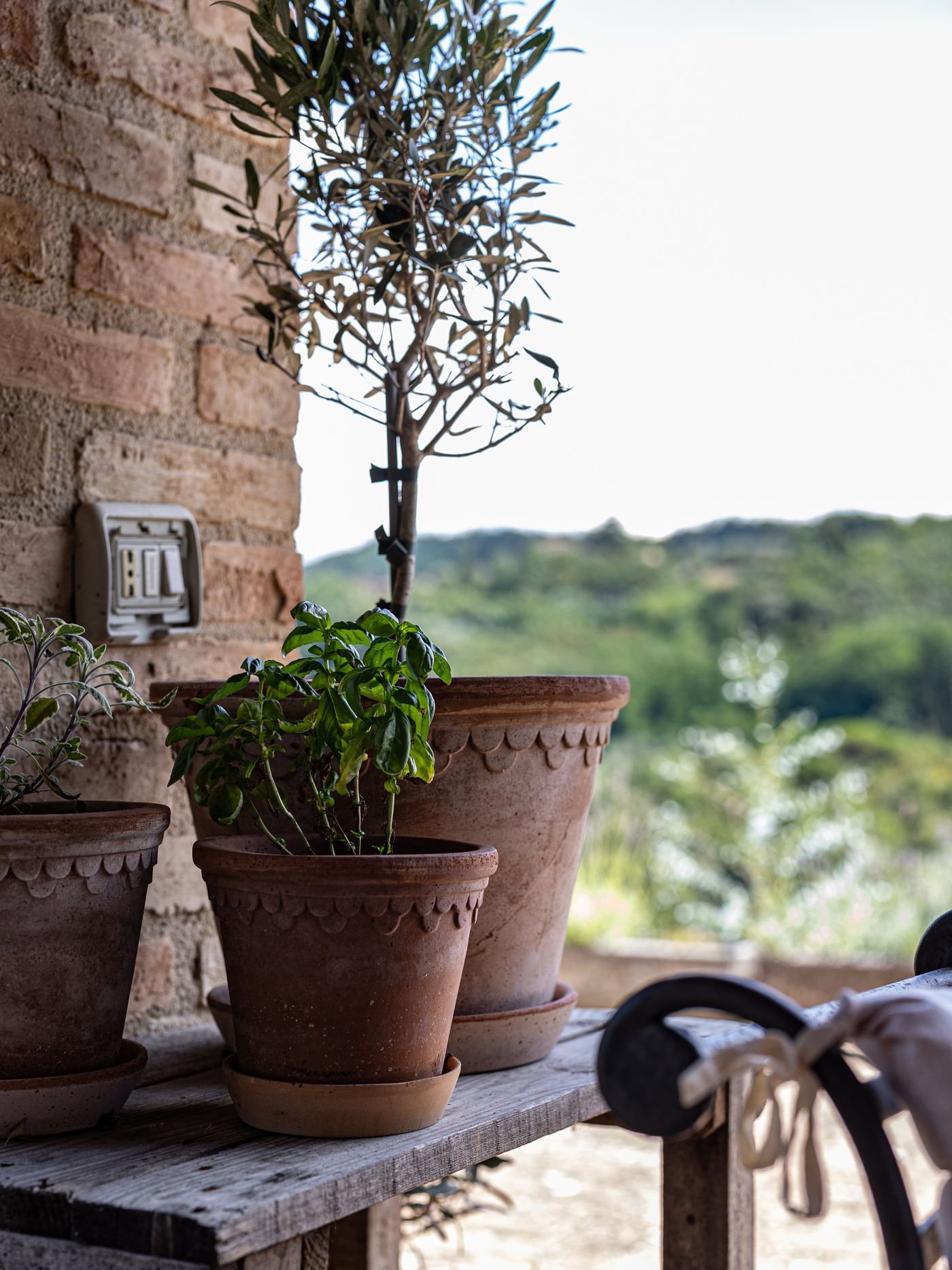 Prateleira de madeira com vasos de plantas contra parede de tijolos
