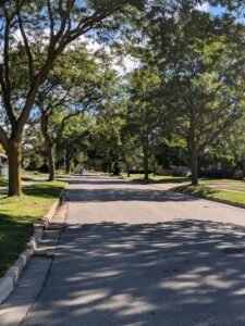 Rua arborizada com copas contínuas, tipo de sombra que a sibipiruna forma em muitas cidades