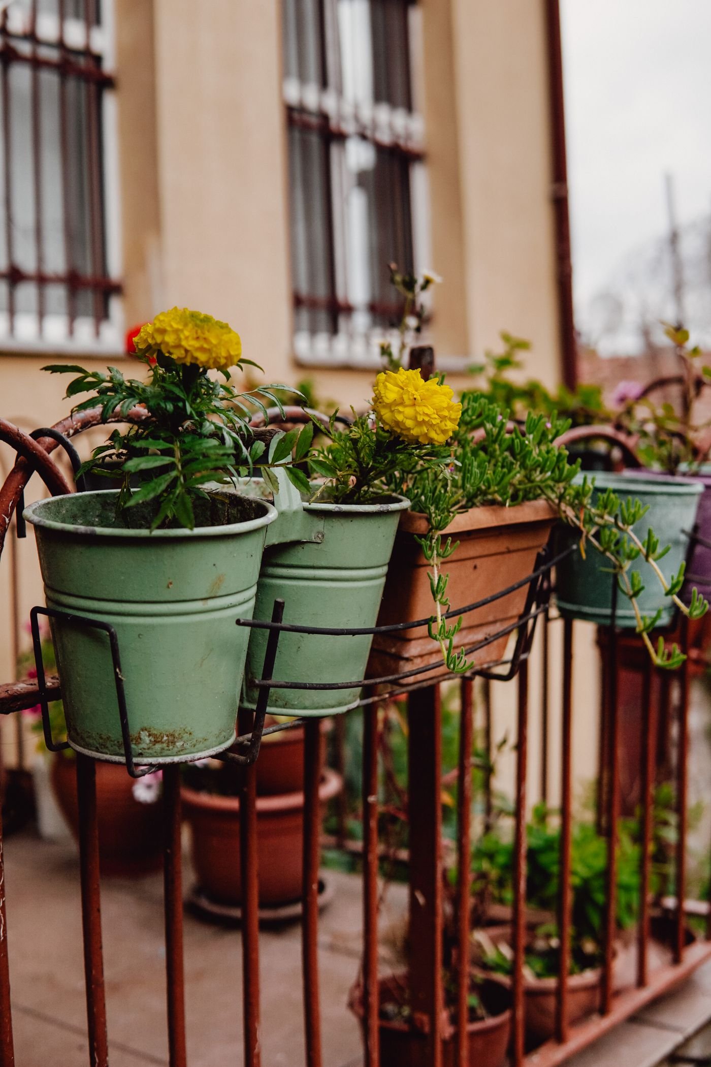 Varanda com flores em vasos, onde o pratinho exige atenção contra a dengue