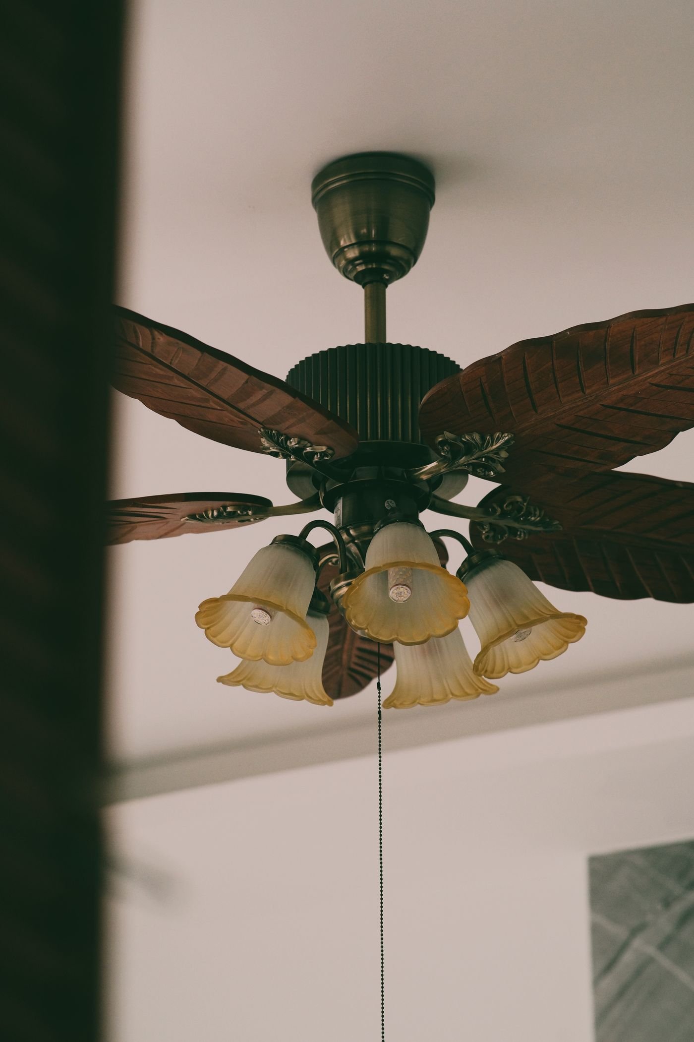 Ventilador de teto com luminária de cúpulas de vidro visto de perto