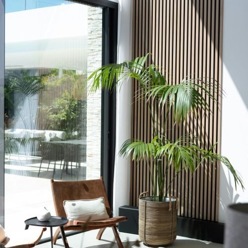 Palmeira-areca em vaso dentro de sala de estar moderna com luz natural — palmeiras para varanda e jardim