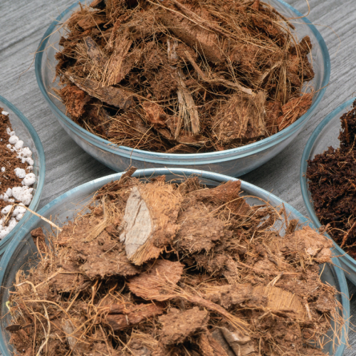 Componentes do substrato para plantas em vasos com perlita, fibra de coco e matéria orgânica organizados em recipientes