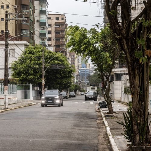 Rua residencial de Praia Grande (SP) com árvores de pequeno e médio porte plantadas na calçada, ao lado de postes e fiação elétrica